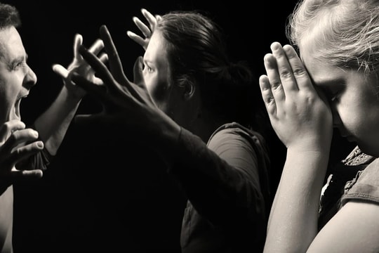 Thượng viện CH Czech thông qua thông qua định nghĩa pháp lý mới về bạo lực gia đình