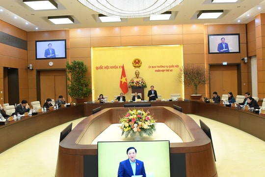 NGHỊ QUYẾT Phê chuẩn kết quả bầu Phó Chủ tịch Hội đồng nhân dân tỉnh Tây Ninh, nhiệm kỳ 2021 - 2026