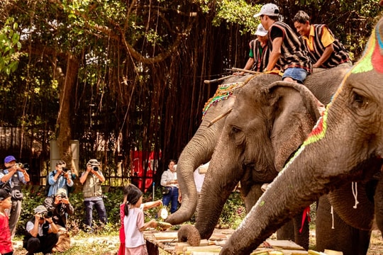 Du lịch thân thiện gắn với bảo tồn voi nhà ở Đắk Lắk