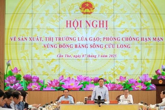 Tìm giải pháp tháo gỡ khó khăn cho ngành lúa gạo phát triển bền vững