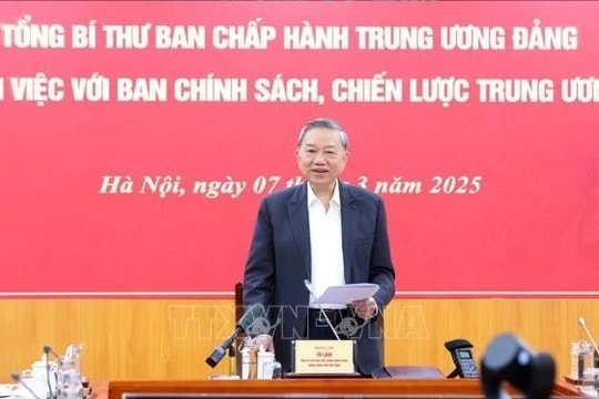 Tổng Bí thư Tô Lâm chủ trì buổi làm việc với Ban Chính sách, chiến lược Trung ương về phát triển khu vực kinh tế tư nhân ở Việt Nam