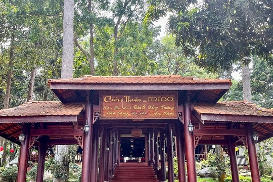 Cường Thuận IDICO vướng nhiều sai phạm tại khu du lịch đảo Ó - Đồng Trường