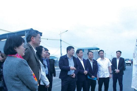 Nên tách việc bồi thường, hỗ trợ tái định cư, giải phóng mặt bằng thành dự án độc lập