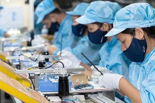 Cần sớm ban hành cơ chế, chính sách để phát triển kinh tế tư nhân