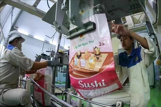 Vietnamese rice exporters urged to boost global competitiveness