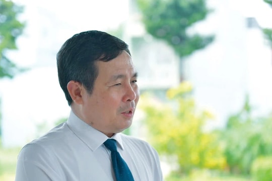 Khuyến khích vận chuyển container vào cảng, đột phá phát triển hạ tầng logistics