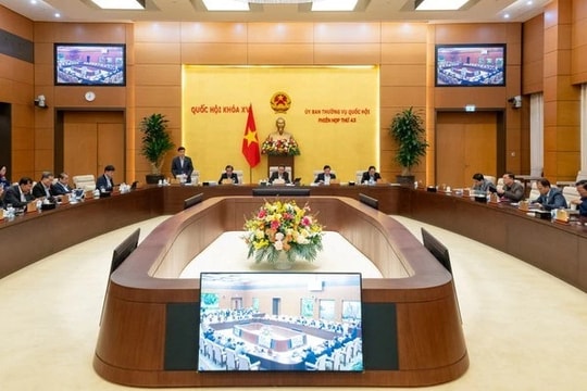 Ủy ban Thường vụ Quốc hội đồng ý giảm 30% tiền thuê đất năm 2024