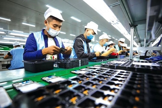 Bãi bỏ 11 nghị định về quản lý lao động, tiền lương, tiền thưởng