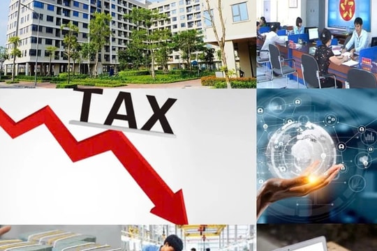 Tiếp tục cắt giảm thủ tục hành chính, cải thiện môi trường kinh doanh, thúc đẩy phát triển kinh tế - xã hội