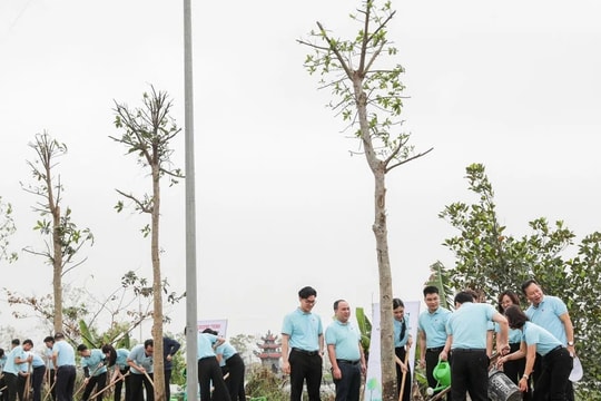 “Agribank - Thêm cây, thêm sự sống”, lan tỏa hành trình “Vì tương lai xanh” tại Mê Linh