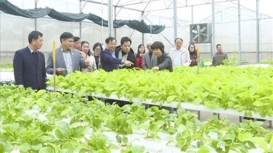 Gia Lâm về đích xây dựng nông thôn mới nâng cao