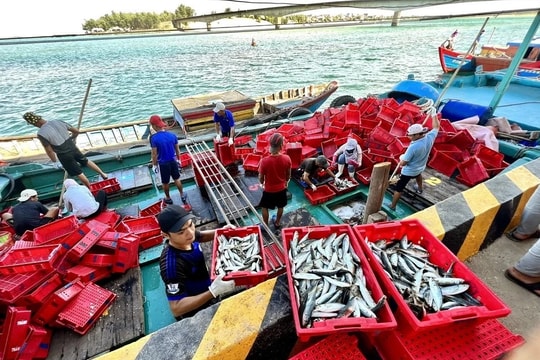 Thực chất, không đối phó