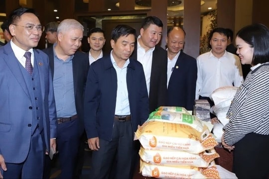 Đồng hành, thấu hiểu và chia sẻ