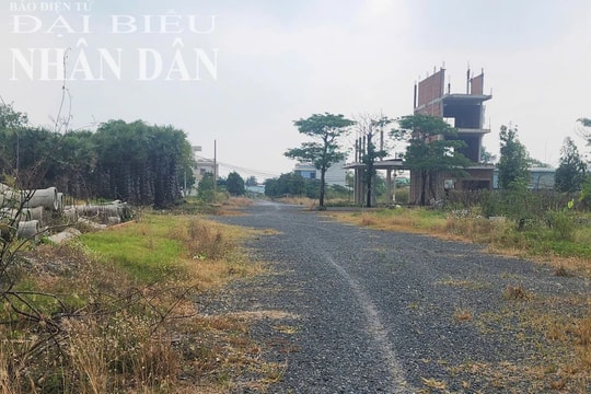 Long An: Cảnh hoang tàn tại dự án Khu dân cư An Phú Sinh sau gần 6 năm triển khai