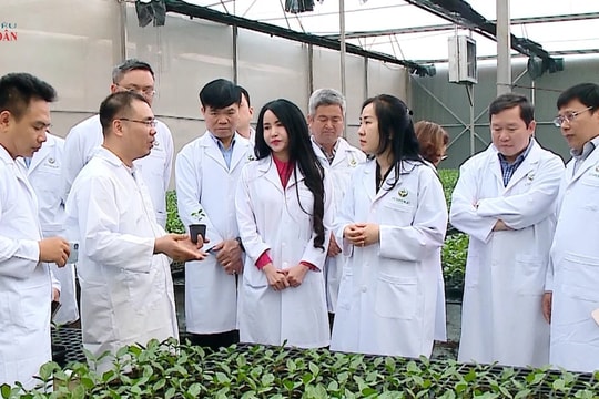 Đoàn khảo sát của Ủy ban Kinh tế và Tài chính làm việc với tỉnh Đắk Lắk