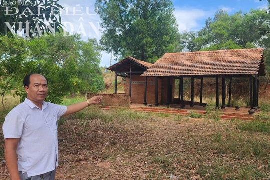 Khu đất canh tác ổn định 37 năm chưa được cấp “sổ" ở Bình Phước: Tổng cục Quản lý đất đai hướng dẫn thế nào?