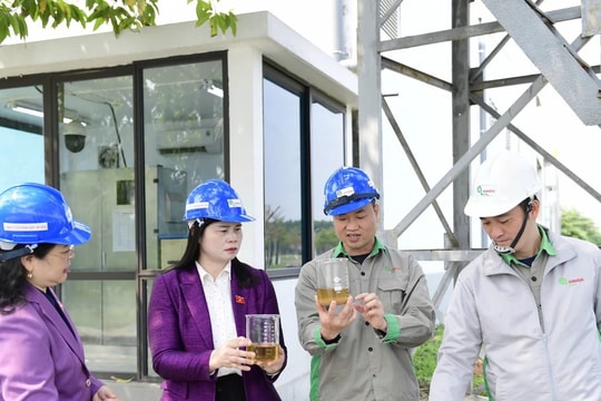 Đoàn ĐBQH tỉnh Tuyên Quang giám sát về việc thực hiện chính sách, pháp luật về bảo vệ môi trường