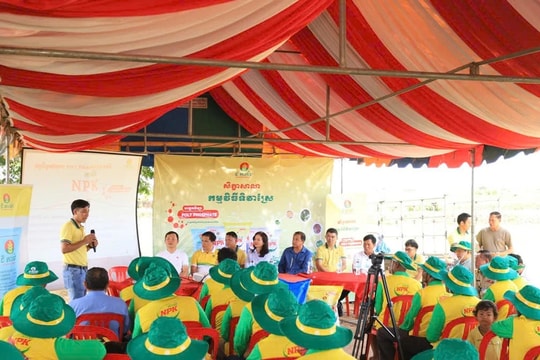 Tăng cường phân phối bộ sản phẩm NPK Cà Mau Poly Phosphate tại Campuchia