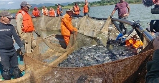 Aquacultural cooperation exemplifies Vietnam - Cuba relations