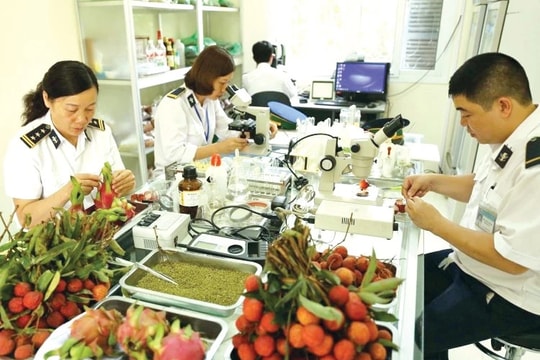Số hóa kiểm dịch thực vật để thúc đẩy xuất khẩu nông sản