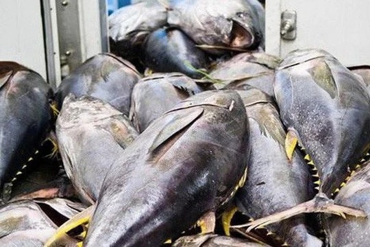 Xuất khẩu thủy sản sang Hoa Kỳ đối mặt thách thức mới