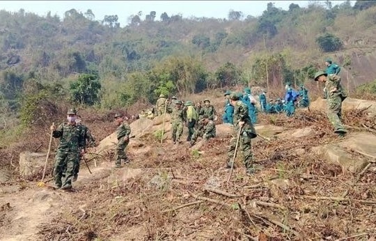 Tập trung khắc phục hậu quả vụ cháy rừng tại Tuyên Quang