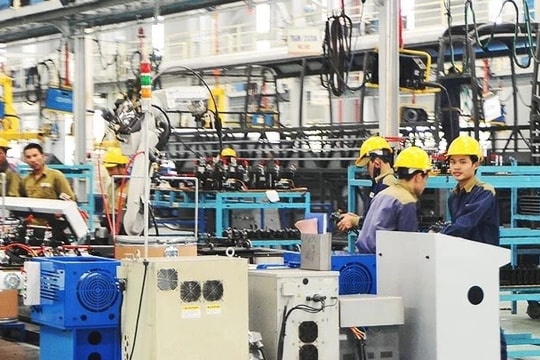 Kinh tế tư nhân sẽ là điểm tựa cho nền kinh tế