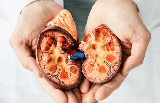 Tổn thương thận cấp có cơ hội phục hồi cao nếu phát hiện sớm