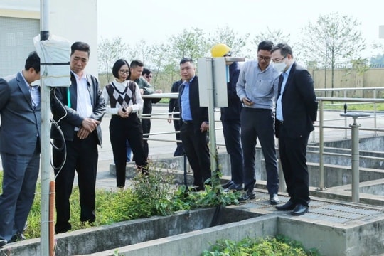 Quảng Ninh: Đoàn ĐBQH tỉnh giám sát về bảo vệ môi trường tại Móng Cái, Hải Hà