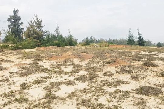 Quảng Bình: Thu hồi đất thực hiện dự án khu du lịch Indochina Quảng Bình Resort