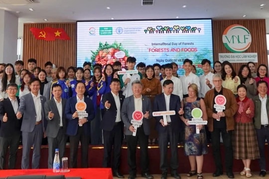 Cùng nhau bảo vệ rừng để đảm bảo một tương lai an ninh lương thực