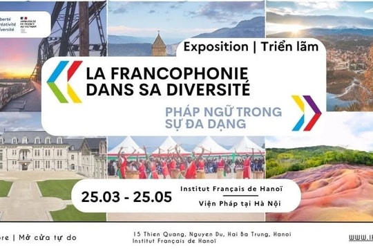 Tôn vinh vẻ đẹp, sự đa dạng của Cộng đồng Pháp ngữ