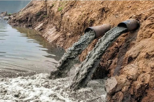 TP. Hồ Chí Minh: Công ty TNHH BICO xả nước thải vượt quy chuẩn ra môi trường