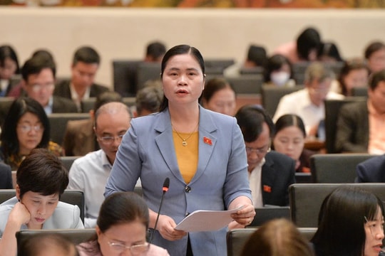 Cần có chế tài xử lý khi doanh nghiệp không báo cáo hàng năm