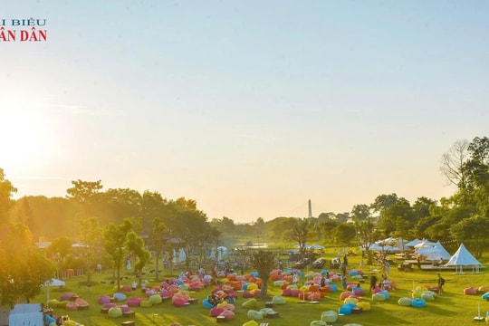 Vườn hoa bãi đá sông Hồng: Điểm du lịch, cắm trại tuyệt đẹp tại Hà Nội