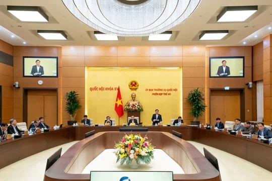 Chủ tịch Quốc hội ký ban hành Nghị quyết phê chuẩn nhân sự Trưởng đoàn đại biểu Quốc hội nhiều tỉnh thành