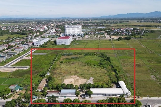 Hà Tĩnh kiên quyết thu hồi đất đối với các dự án vi phạm pháp luật đất đai