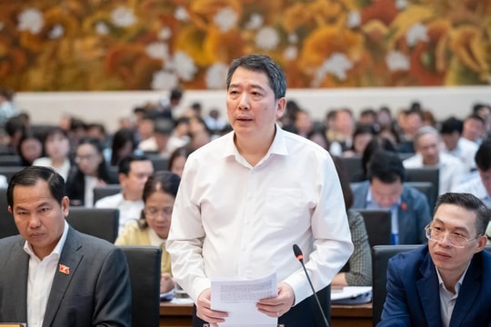 Cân nhắc tăng thuế đối với xe ô tô pick - up chở hàng cabin kép theo lộ trình