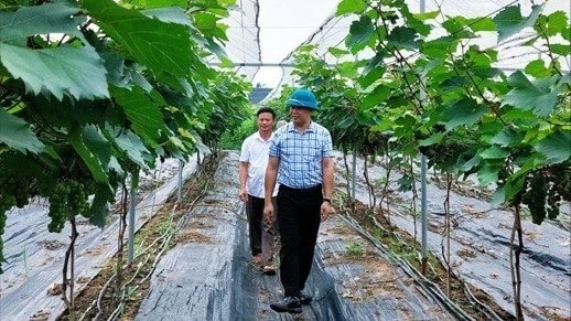 Điểm sáng Thủy Xuân Tiên