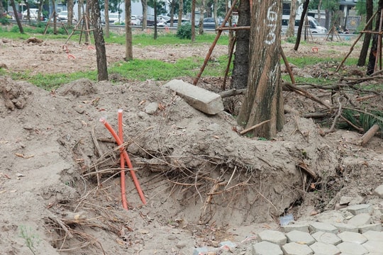 Liên danh Môi trường Hà Nội và Xây dựng Hà Thành trúng thầu cải tạo công viên Cầu Giấy, tỷ lệ tiết kiệm ở mức 0,3%