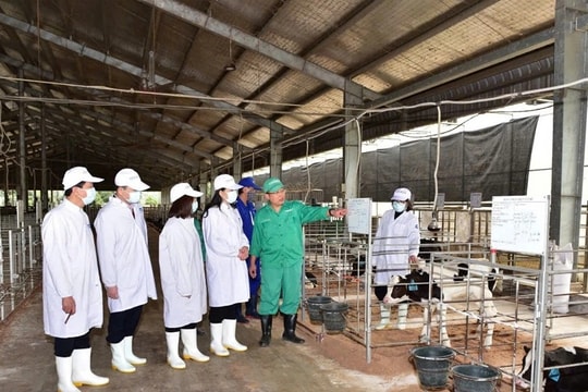 Tăng cường ứng dụng công nghệ trong xử lý môi trường