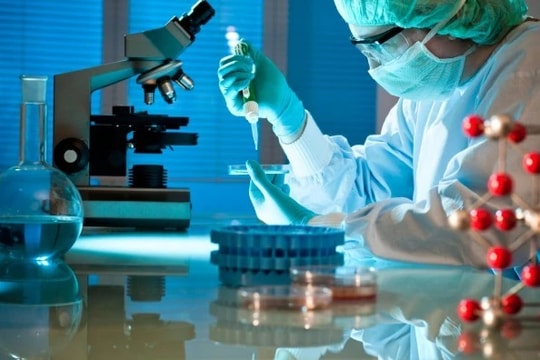 Nhiều đơn vị vận tải biển không đăng ký kinh doanh dược tại Việt Nam vẫn tham gia vận chuyển thuốc