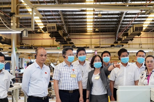 Doanh nghiệp phía Nam tiên phong tiết kiệm năng lượng, hướng tới nền kinh tế xanh, bền vững