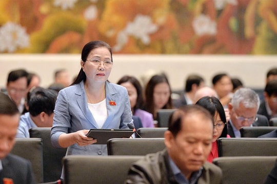 Xem xét lộ trình điều chỉnh thuế hợp lý, có độ trễ để doanh nghiệp chuẩn bị