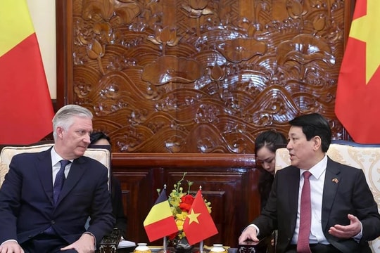 Vietnam wants to strengthen multi-faceted cooperation with Belgium: State President