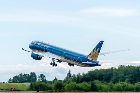 Vietnam Airlines công bố lợi nhuận năm 2024 gần 8.000 tỷ đồng