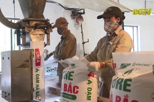 Đạm Hà Bắc: Lợi nhuận “bốc hơi” 99%, lỗ luỹ kế hơn 2.100 tỷ, Cổ phiếu DHB trong diện cảnh báo do vướng mắc từ dự án mở rộng nhà máy