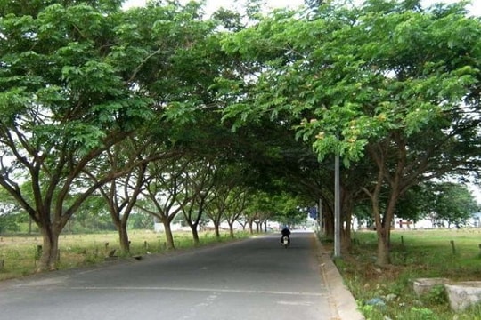 Quảng Bình: Khởi tố 22 bị can liên quan đến Công ty cây xanh Công Minh 