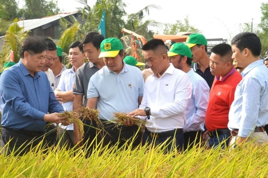 Canh tác lúa giảm phát thải: Hành trình nâng cao giá trị hạt gạo Việt 