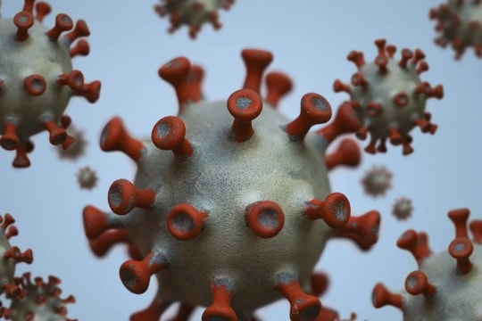 Bộ Y tế thông tin về virus gây bệnh “lạ” tại Liên bang Nga